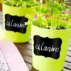 Chalkboard Labels used to lable plants