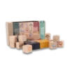 On Safari Building Blocks packaging with building blocks in foreground