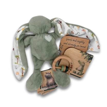 Eco-Friendly Baby Gift Set On Safari with milestone disks and rattle